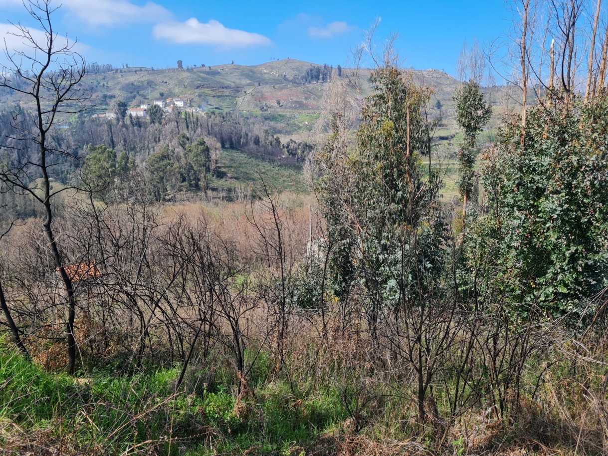 whatsapp-image-2026-03-12-at-132122-1jpeg