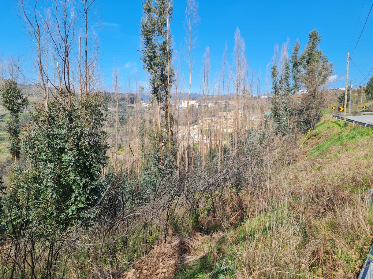 whatsapp-image-2026-03-12-at-132122-2jpeg