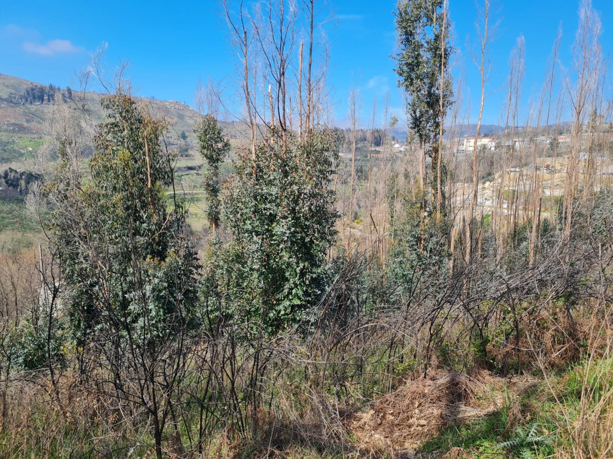 whatsapp-image-2026-03-12-at-132122-3jpeg