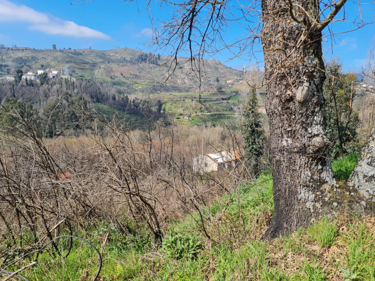 whatsapp-image-2026-03-12-at-132122-4jpeg