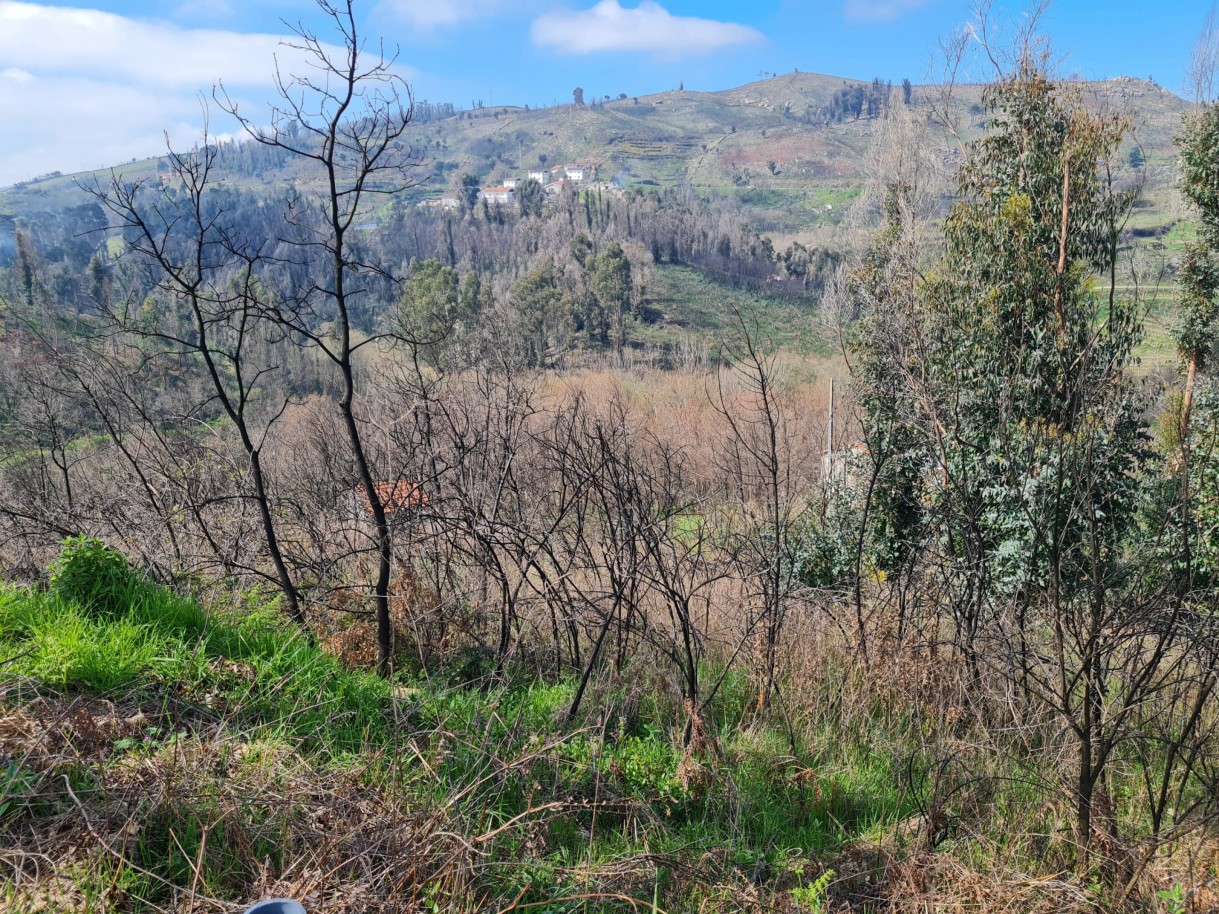 whatsapp-image-2026-03-12-at-132122jpeg