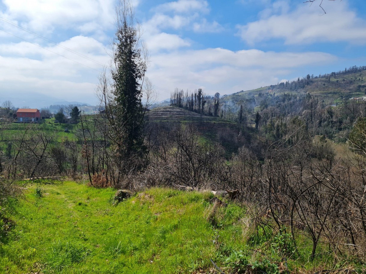 whatsapp-image-2026-03-12-at-132123jpeg