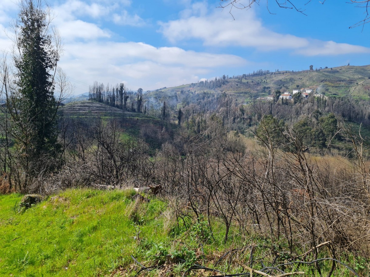 whatsapp-image-2026-03-12-at-132123-1jpeg