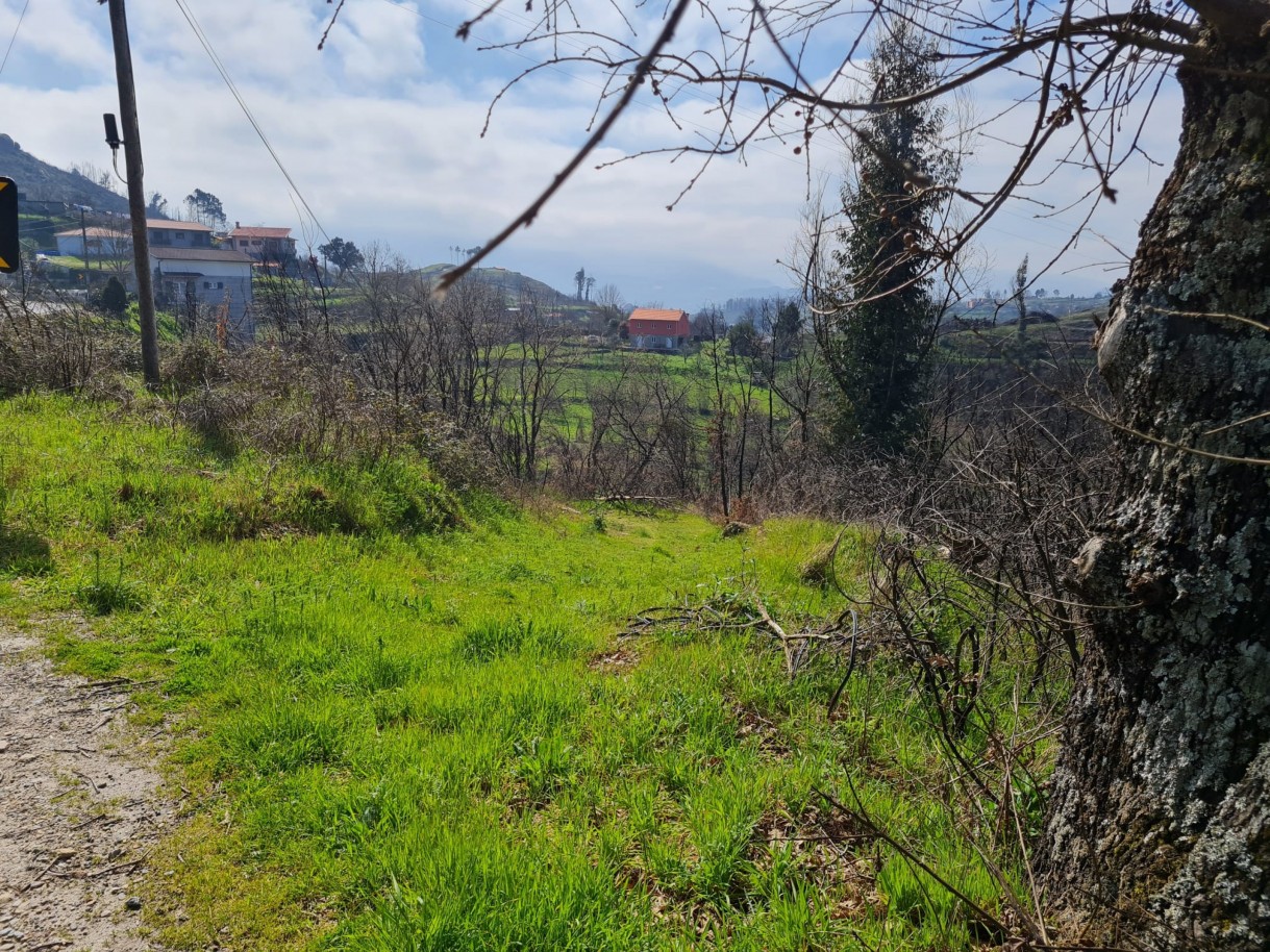 whatsapp-image-2026-03-12-at-132124-2jpeg