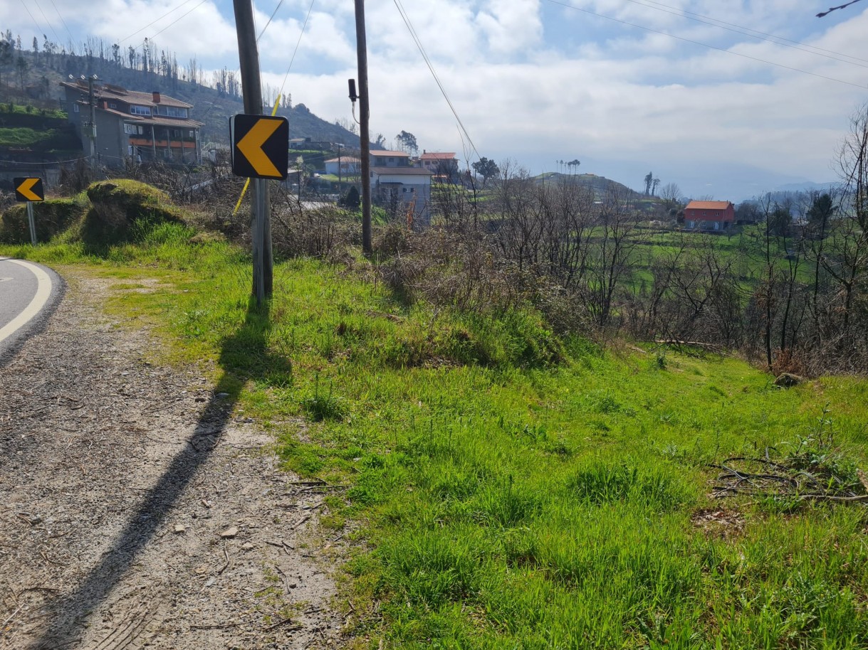 whatsapp-image-2026-03-12-at-132124-1jpeg