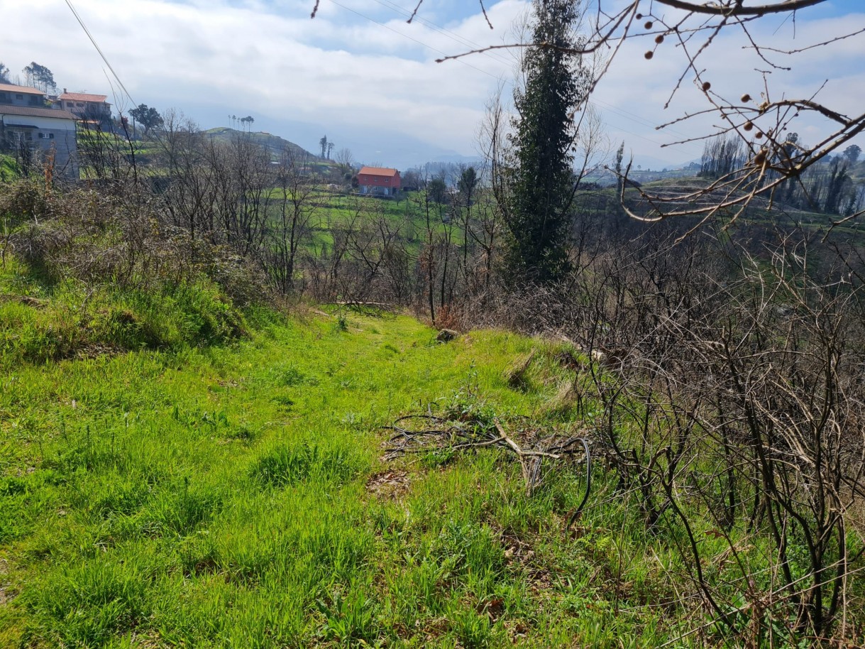 whatsapp-image-2026-03-12-at-132124jpeg