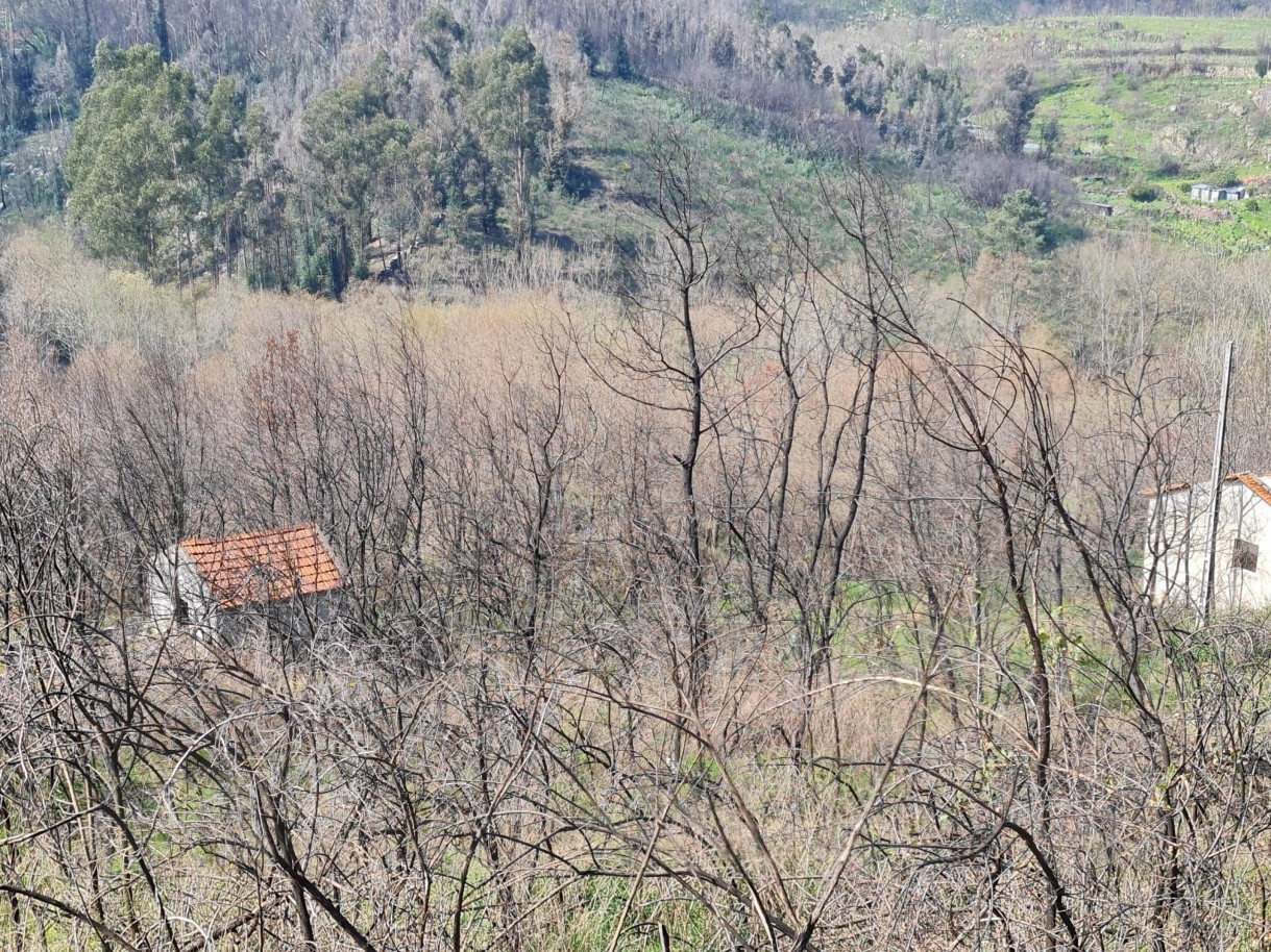 whatsapp-image-2026-03-12-at-132125-3jpeg