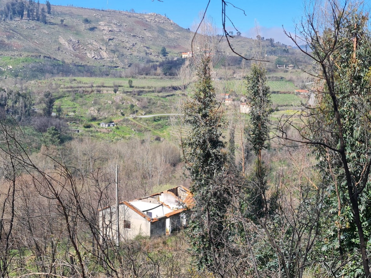 whatsapp-image-2026-03-12-at-132125-1jpeg