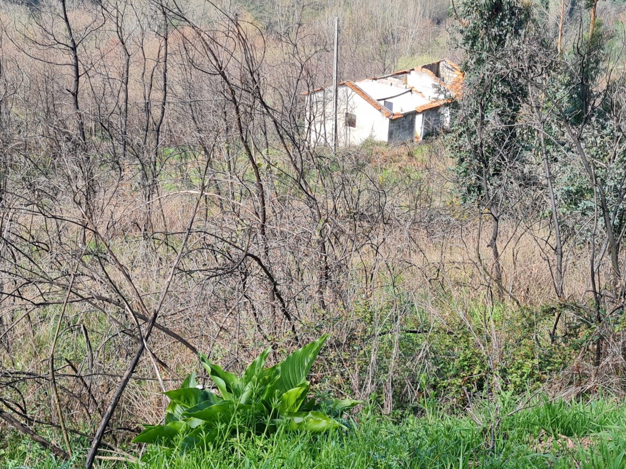 whatsapp-image-2026-03-12-at-132125-4jpeg