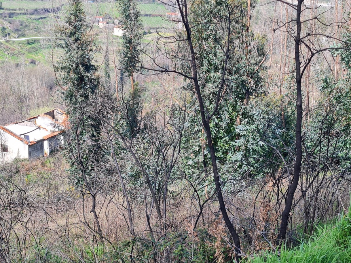 whatsapp-image-2026-03-12-at-132125-5jpeg