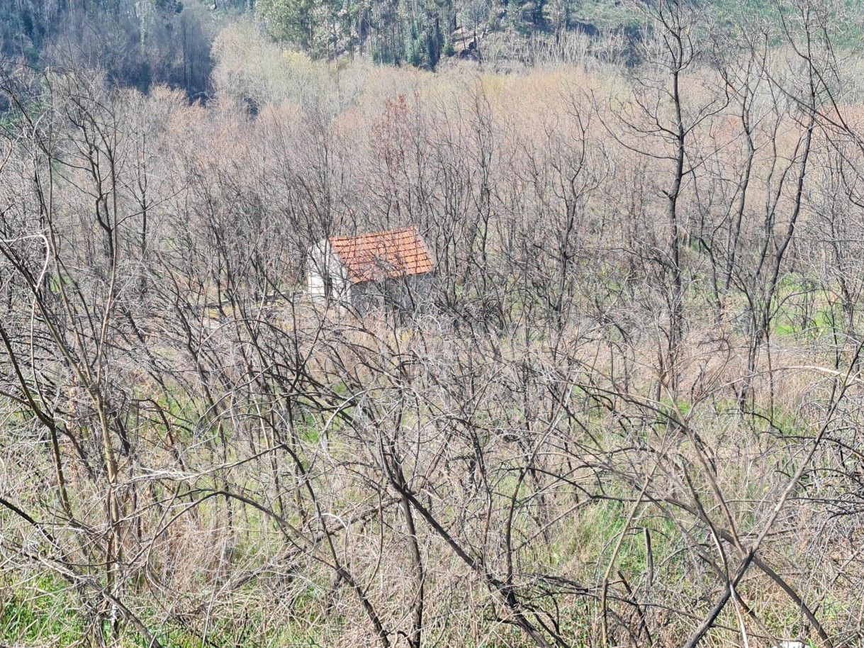 whatsapp-image-2026-03-12-at-132125jpeg