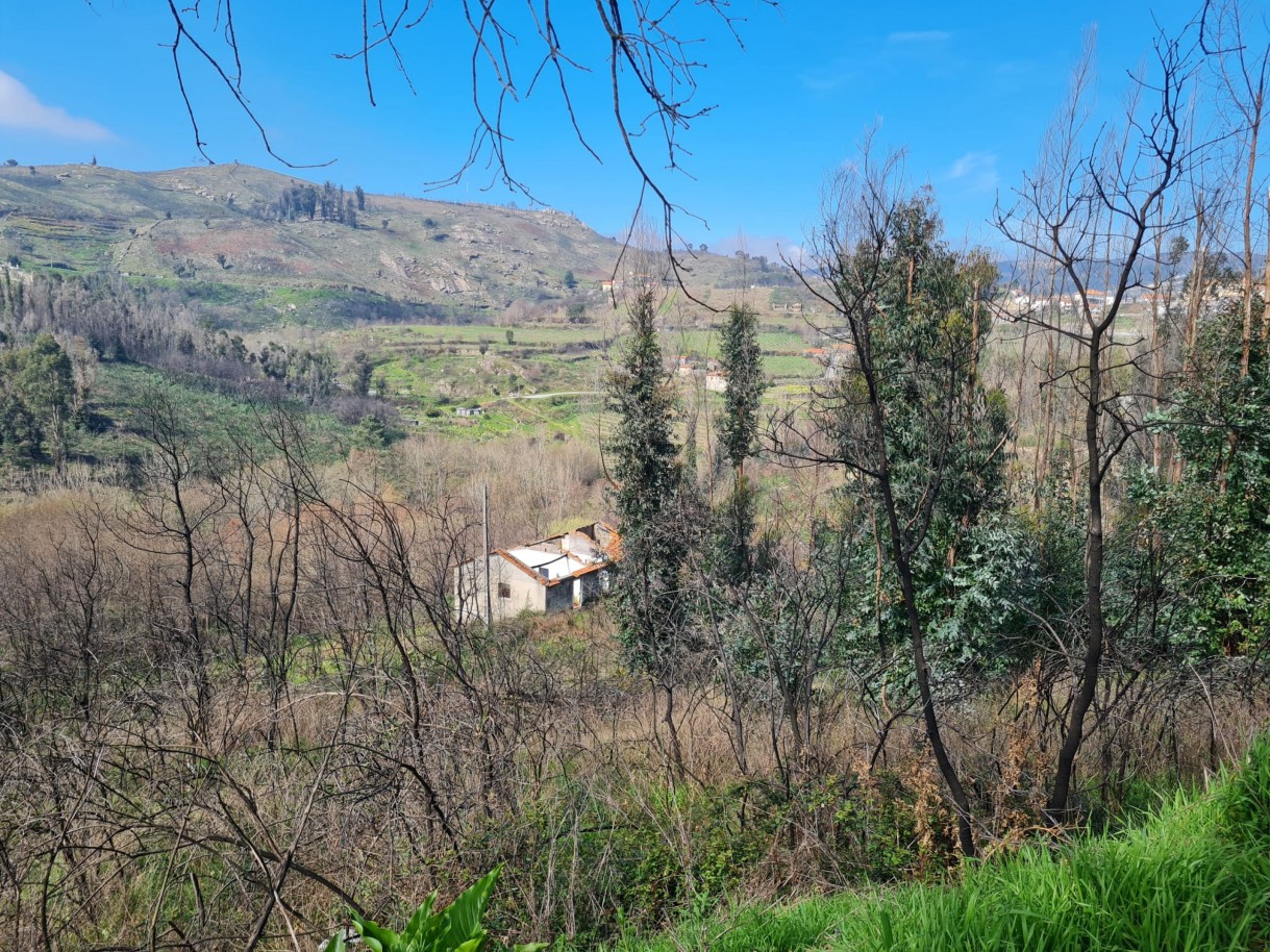 whatsapp-image-2026-03-12-at-132126-2jpeg