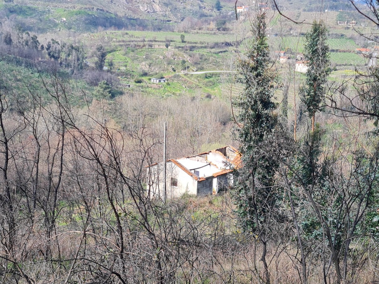 whatsapp-image-2026-03-12-at-132126-1jpeg