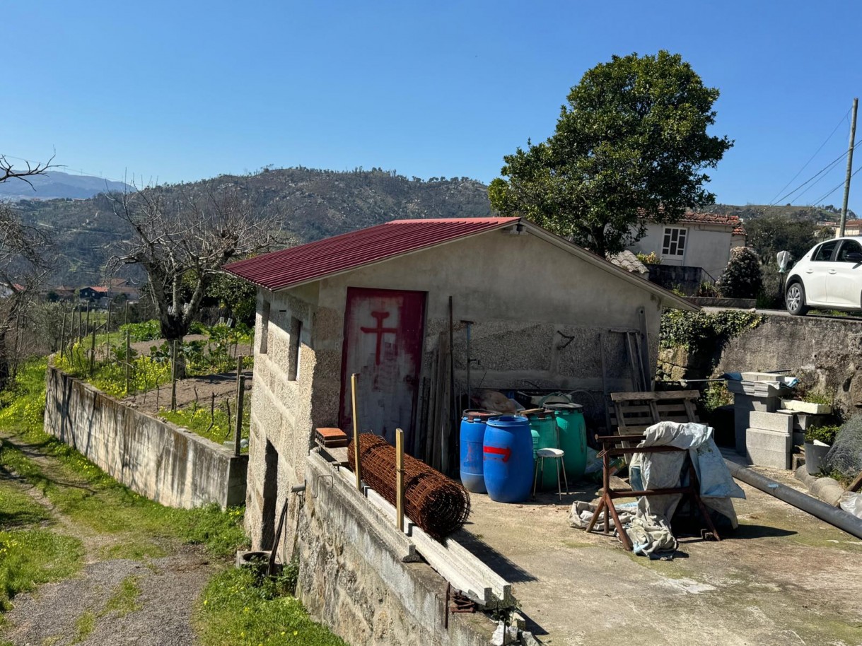 whatsapp-image-2026-03-18-at-110432jpeg