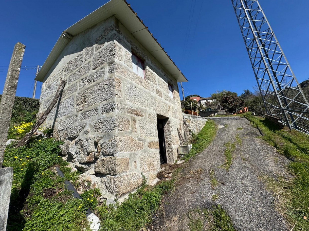 whatsapp-image-2026-03-18-at-110433-3jpeg