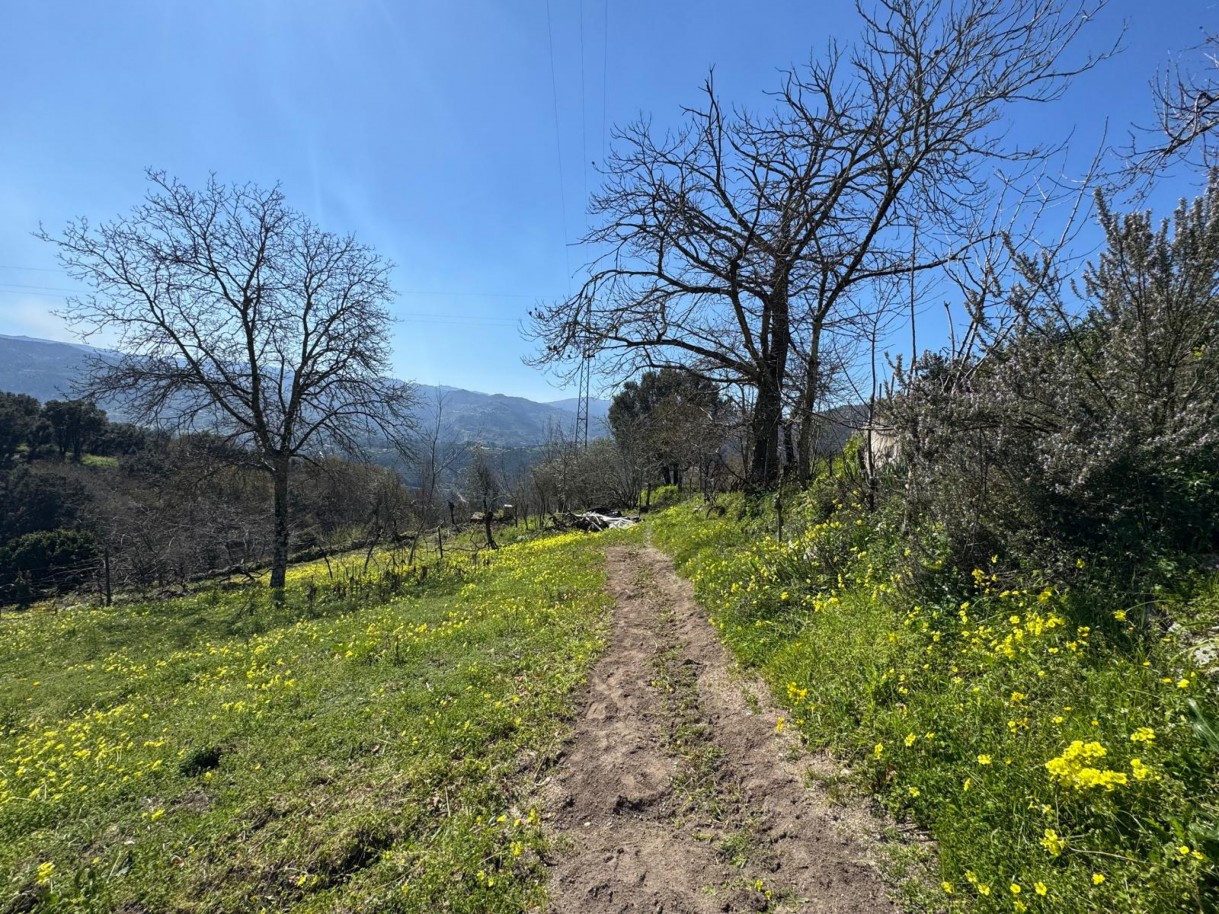 whatsapp-image-2026-03-18-at-110433-4jpeg