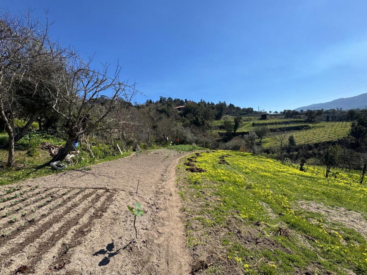 whatsapp-image-2026-03-18-at-110433-6jpeg