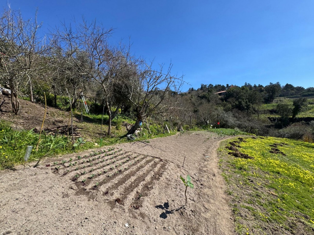 whatsapp-image-2026-03-18-at-110433-7jpeg