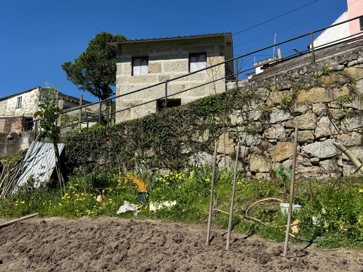 whatsapp-image-2026-03-18-at-110433-8jpeg