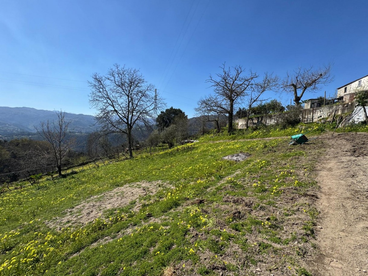 whatsapp-image-2026-03-18-at-110433-9jpeg