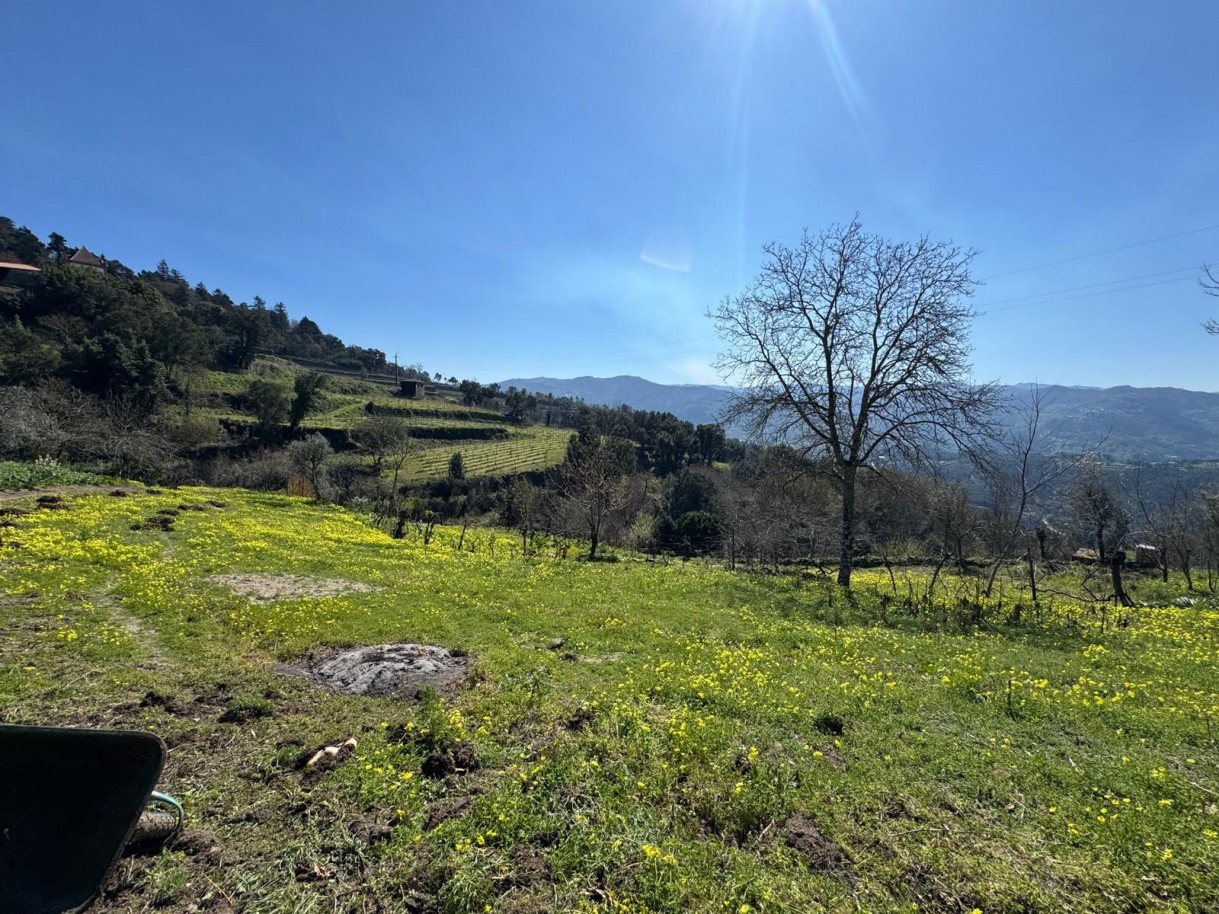 whatsapp-image-2026-03-18-at-110433-5jpeg