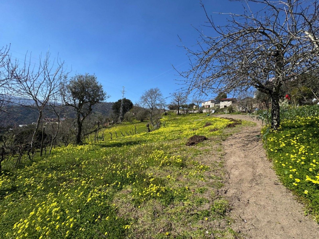 whatsapp-image-2026-03-18-at-110433-18jpeg