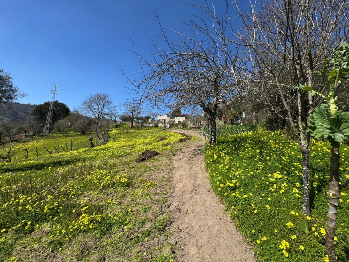 whatsapp-image-2026-03-18-at-110433-17jpeg