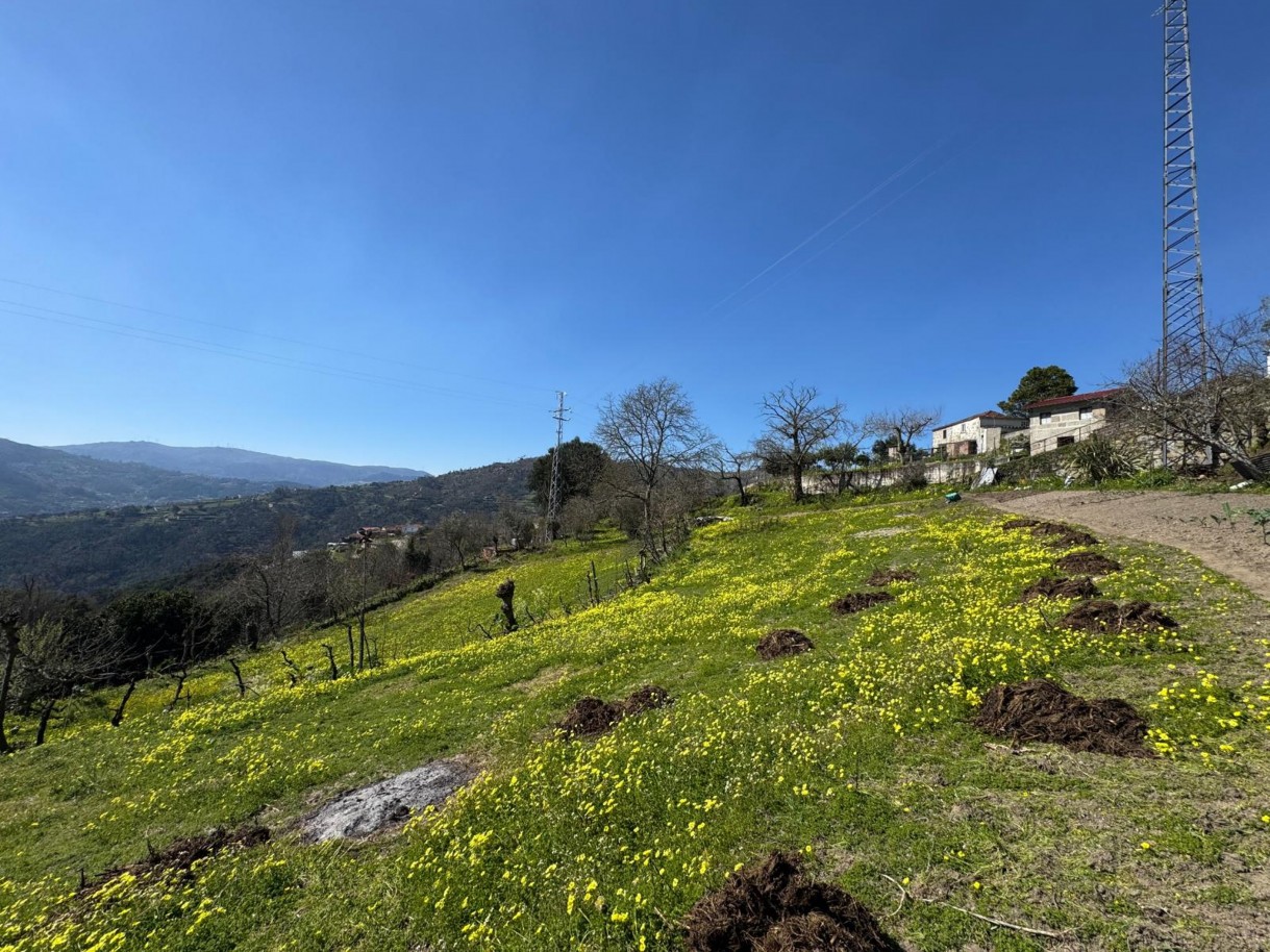 whatsapp-image-2026-03-18-at-110433-19jpeg