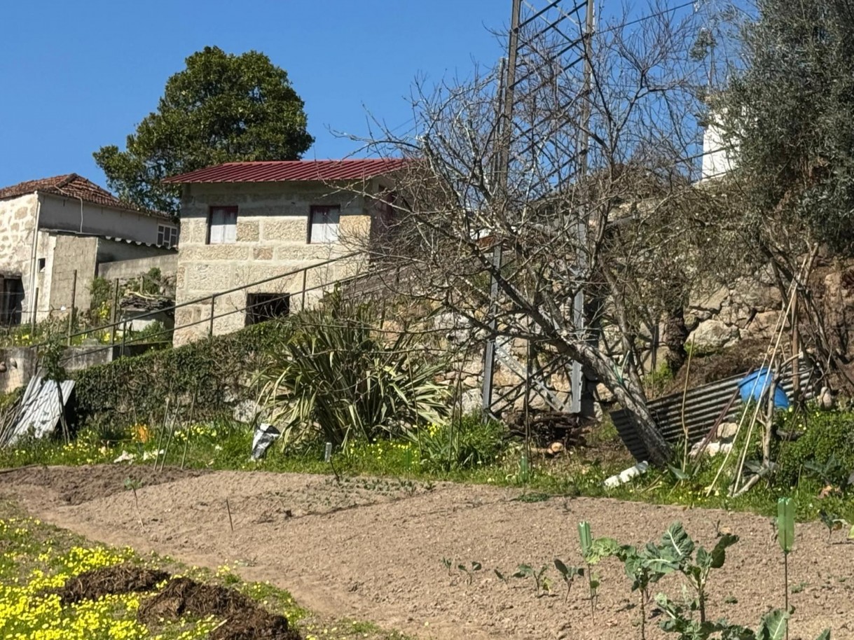 whatsapp-image-2026-03-18-at-110433-21jpeg