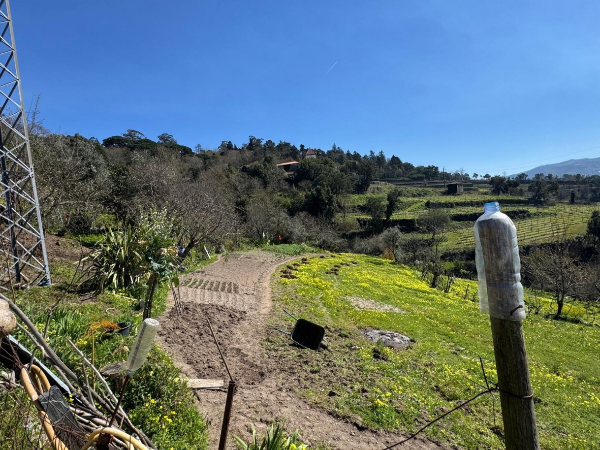 whatsapp-image-2026-03-18-at-110433-22jpeg