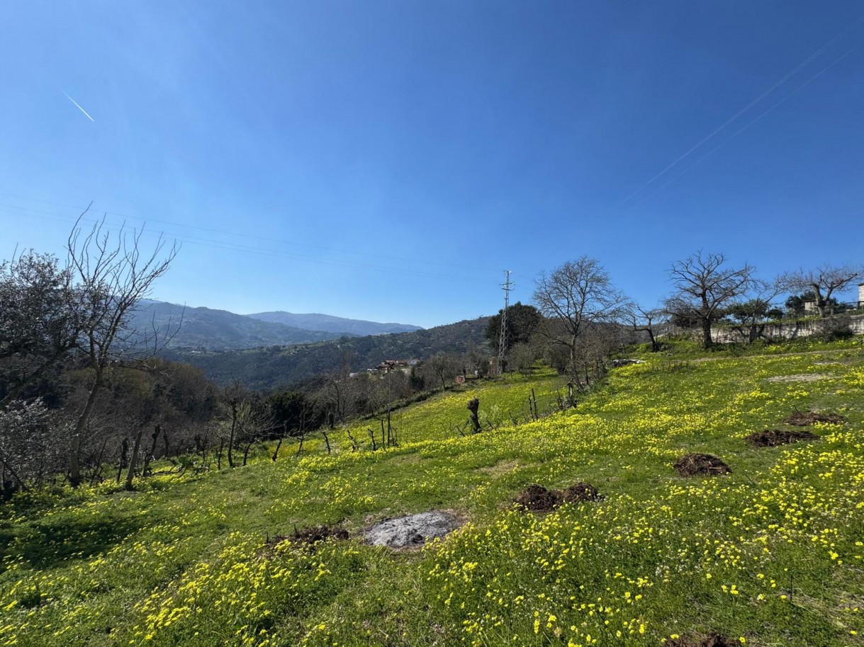 whatsapp-image-2026-03-18-at-110433-20jpeg