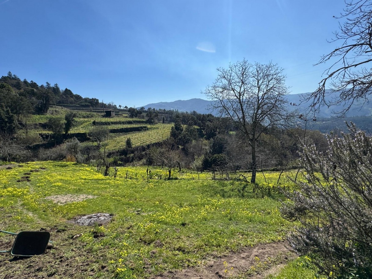 whatsapp-image-2026-03-18-at-110433-24jpeg