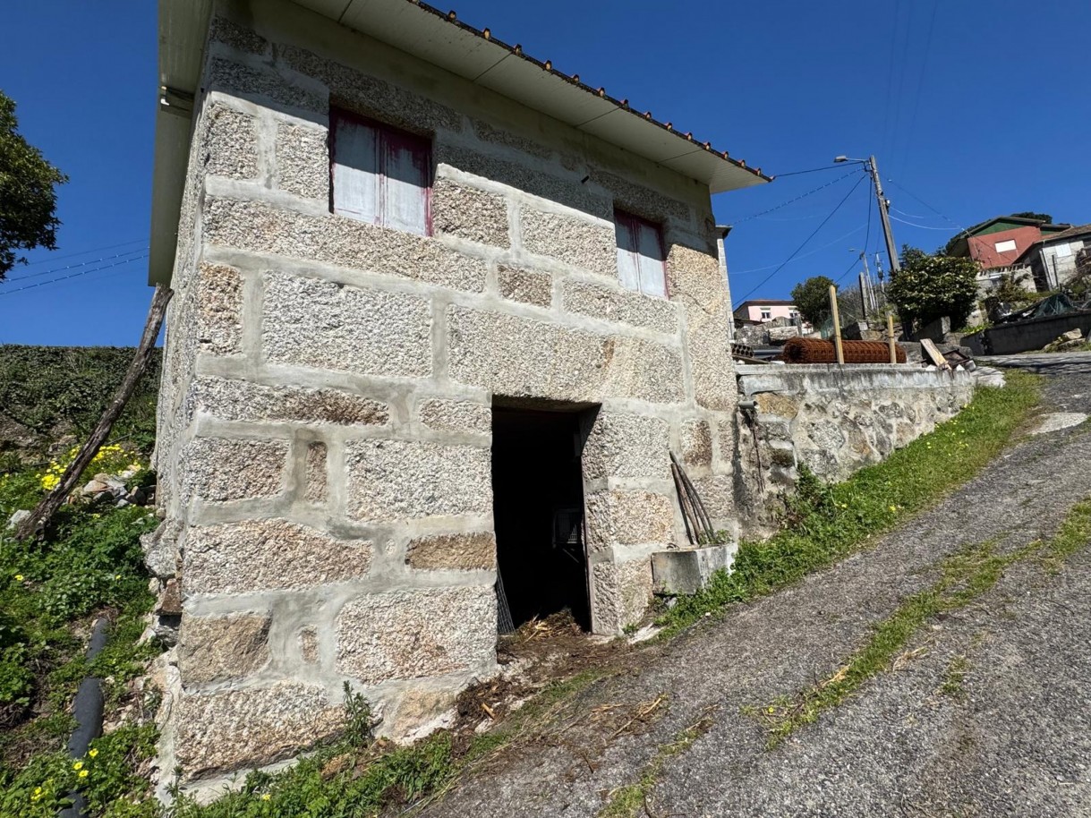 whatsapp-image-2026-03-18-at-110433-25jpeg