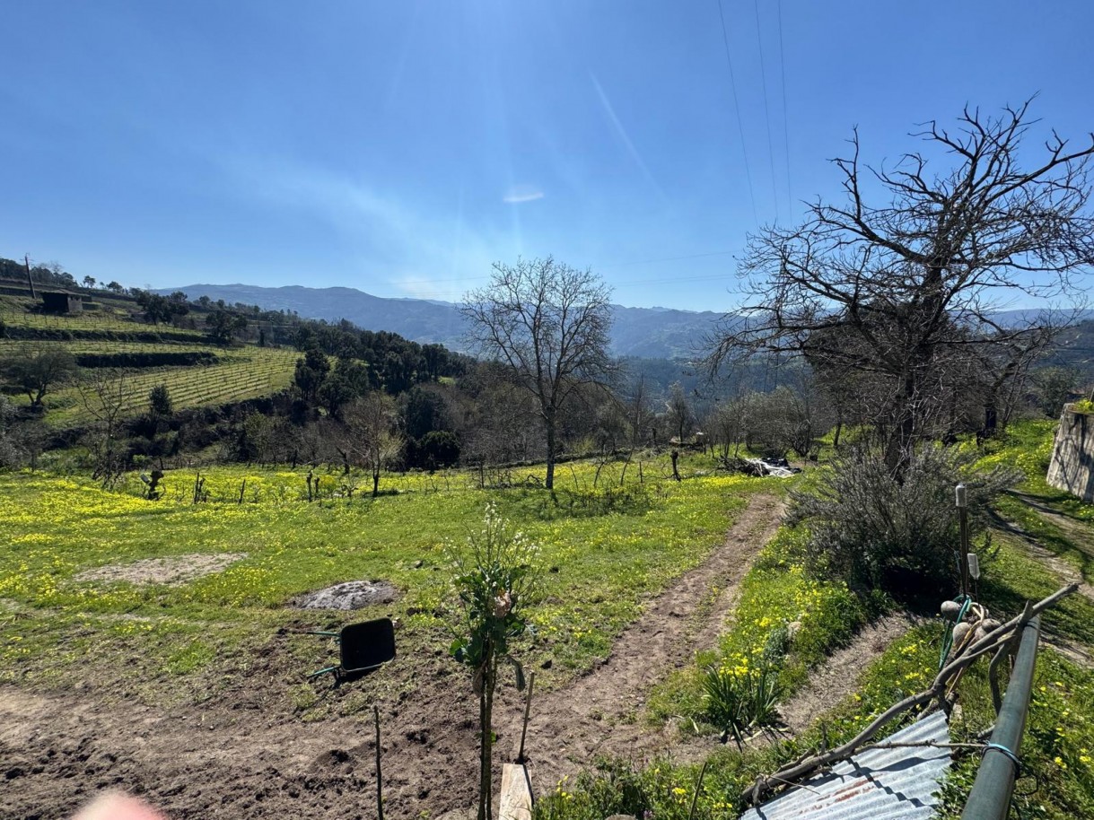 whatsapp-image-2026-03-18-at-110433jpeg