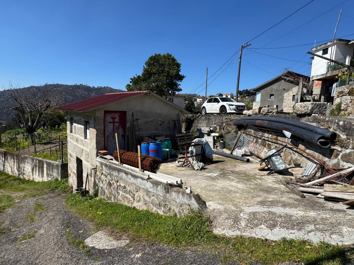 whatsapp-image-2026-03-18-at-110433-26jpeg