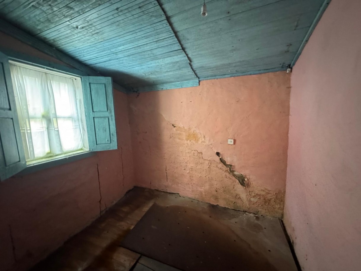 whatsapp-image-2026-03-18-at-130037jpeg