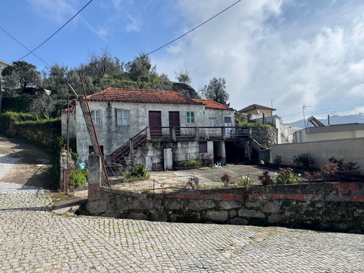 whatsapp-image-2026-03-18-at-130038-3jpeg