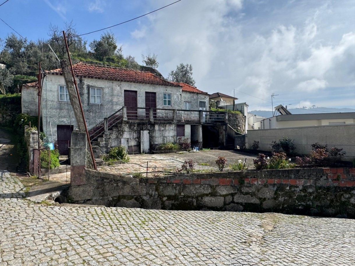 whatsapp-image-2026-03-18-at-130038-4jpeg