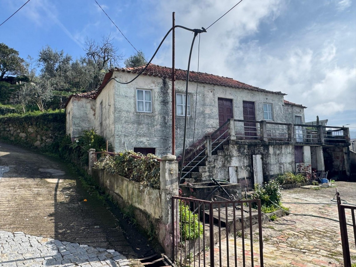 whatsapp-image-2026-03-18-at-130038-5jpeg