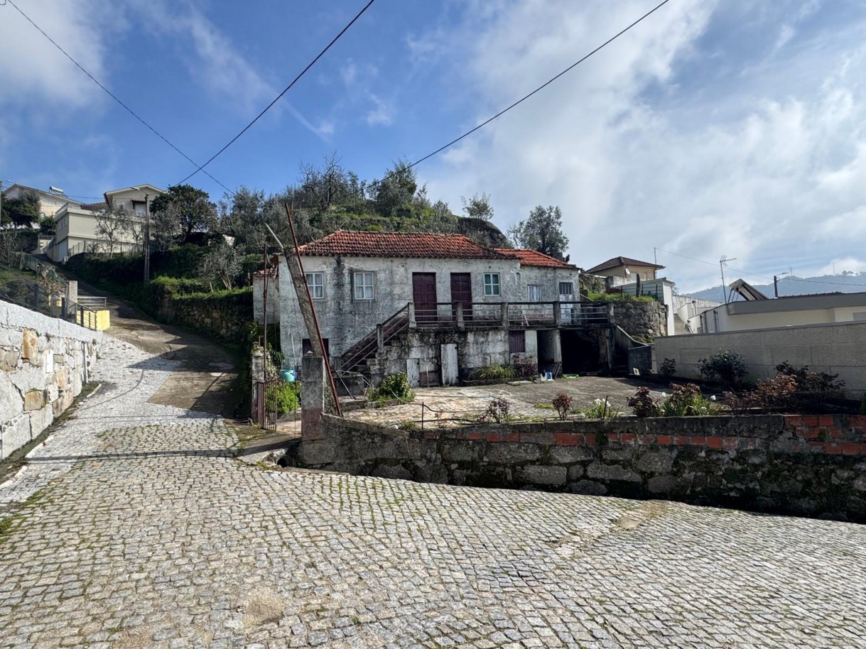 whatsapp-image-2026-03-18-at-130038-2jpeg