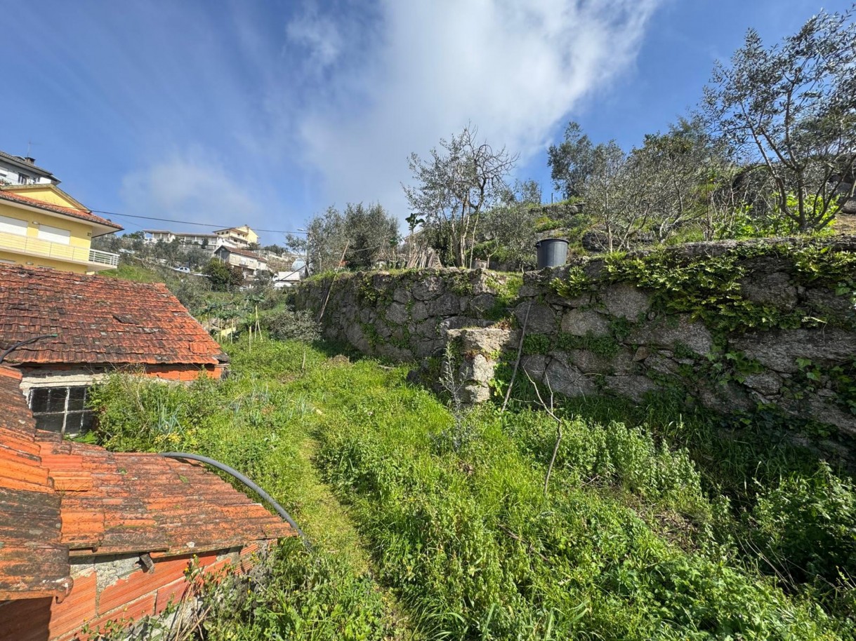 whatsapp-image-2026-03-18-at-130038-8jpeg