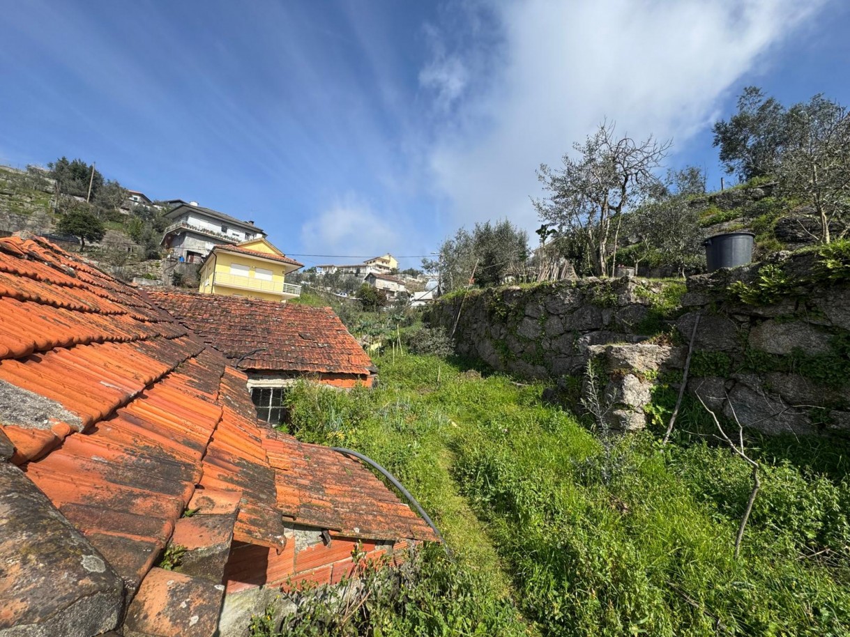 whatsapp-image-2026-03-18-at-130038-9jpeg