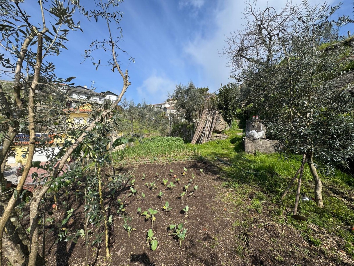 whatsapp-image-2026-03-18-at-130038-11jpeg