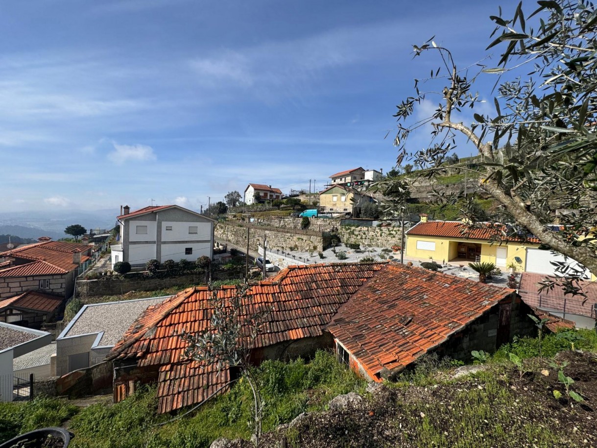 whatsapp-image-2026-03-18-at-130038-10jpeg