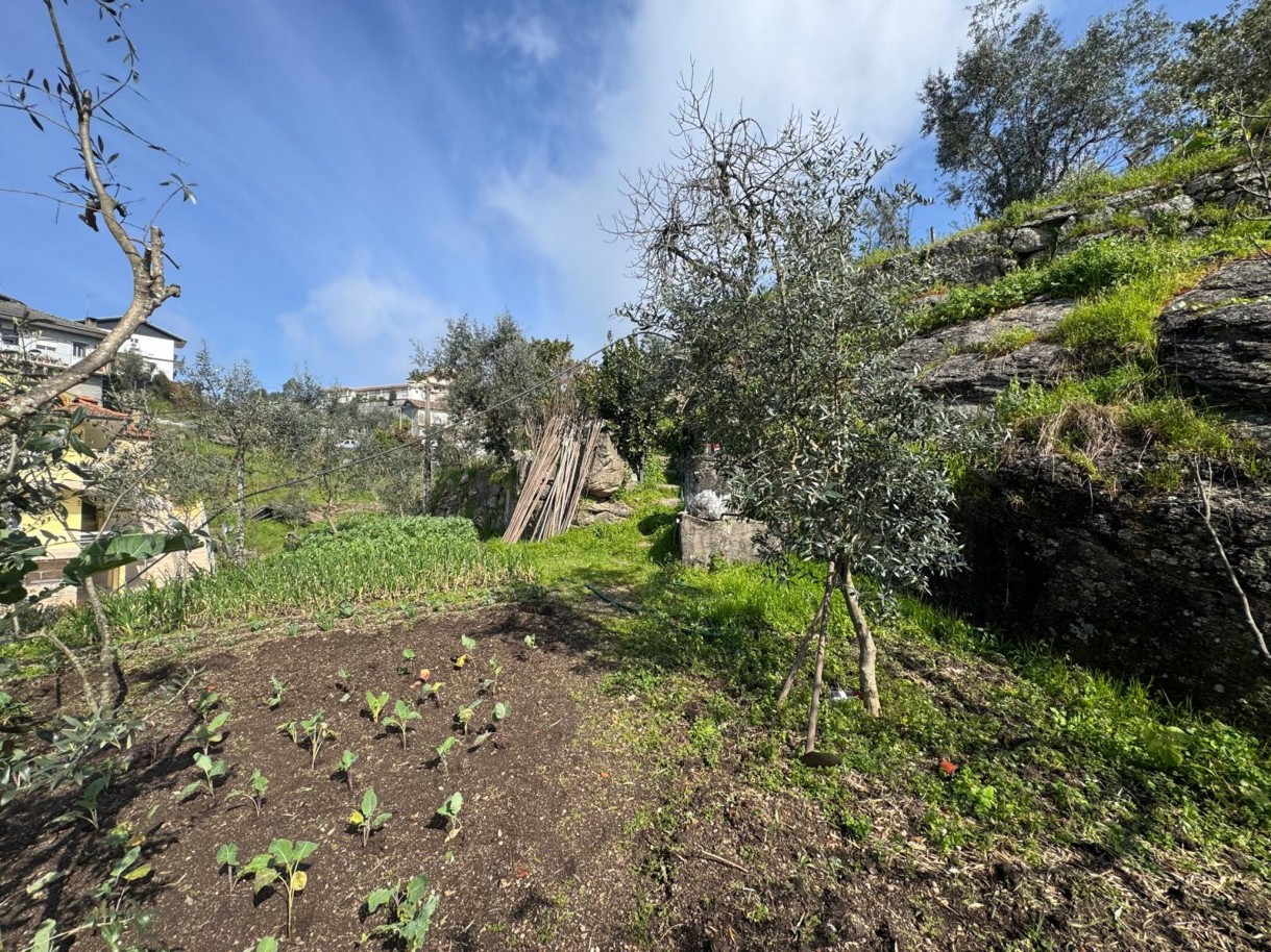 whatsapp-image-2026-03-18-at-130038-12jpeg