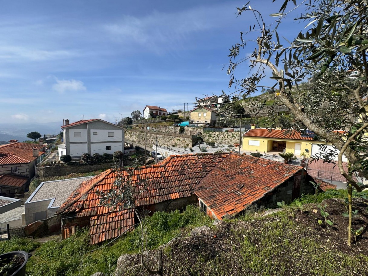 whatsapp-image-2026-03-18-at-130038-13jpeg