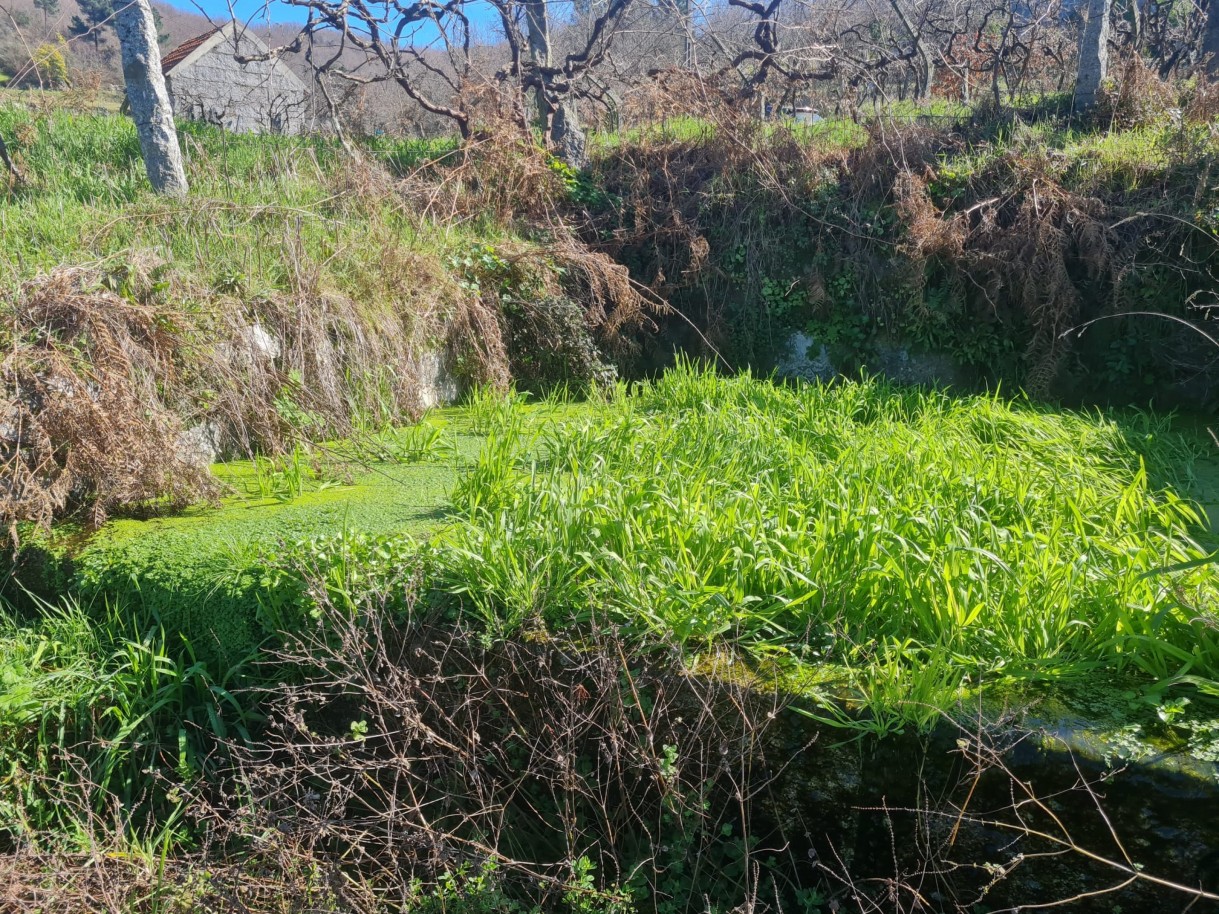 whatsapp-image-2026-03-20-at-111221-1jpeg