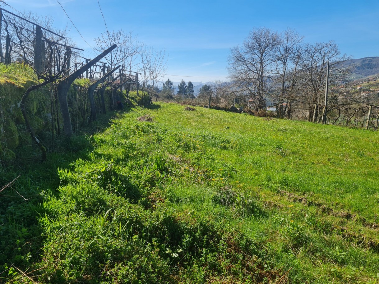 whatsapp-image-2026-03-20-at-111221-2jpeg