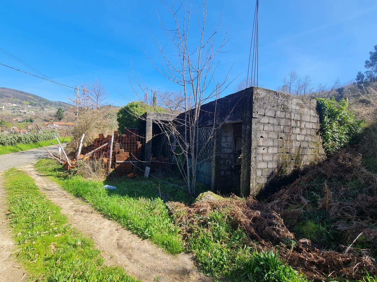 whatsapp-image-2026-03-20-at-111221-3jpeg