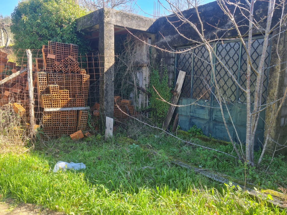 whatsapp-image-2026-03-20-at-111221-4jpeg